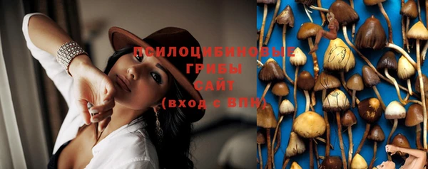 Альфа ПВП Осташков