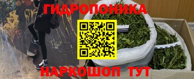 прущая мука Гатчина